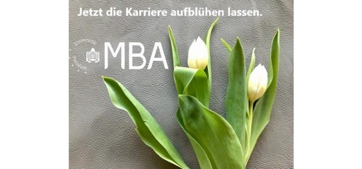 Online-Infoveranstaltung zum Master of Business Administration (MBA) an der Universität Potsdam (Webinar | Online)