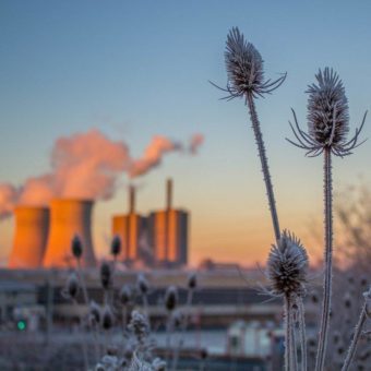 Allergologie im Ruhrgebiet (Schulung | Essen)