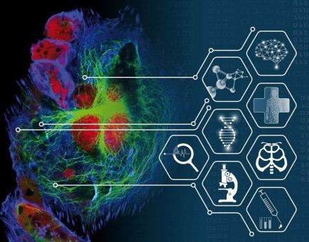 3D Cell Culture 2025: Functional Precision Medicine (Konferenz | Freiburg (Elbe))