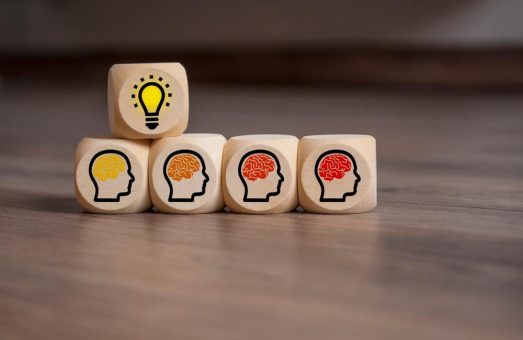 PMO Werkstatt – so gelingt der PMO Aufbau! (Seminar | Online)