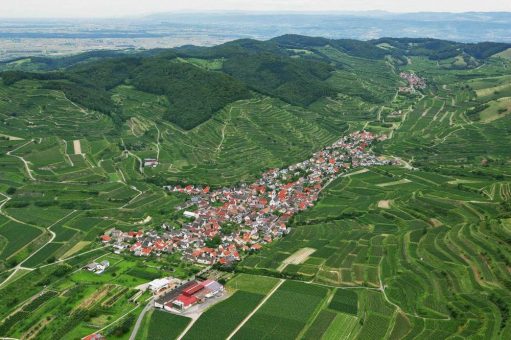 Ostermontagshock (Unterhaltung / Freizeit | Vogtsburg im Kaiserstuhl)