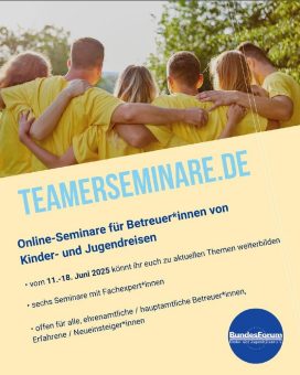 Teamerseminare 2025 (Webinar | Online)