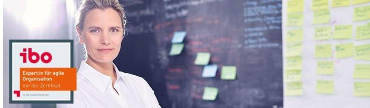 Experte für agile Organisation mit ibo-Zertifikat (Seminar | Online)