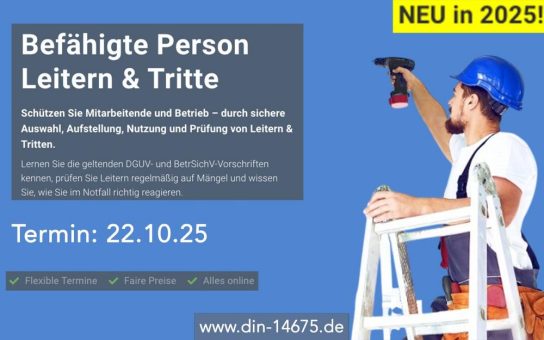 Befähigte Person Leitern & Tritte (Schulung | Online)