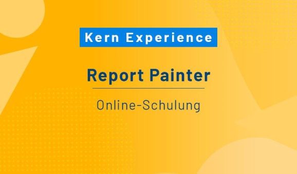 Report Painter – Schulung (Schulung | Online)