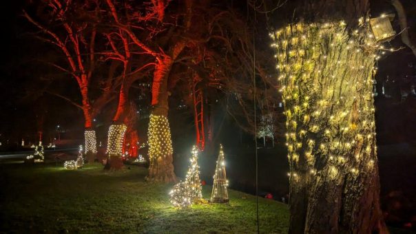 Stadtwerke-Albleuchten vom 30. November bis zum 6. Januar (Ausstellung | Bad Herrenalb)