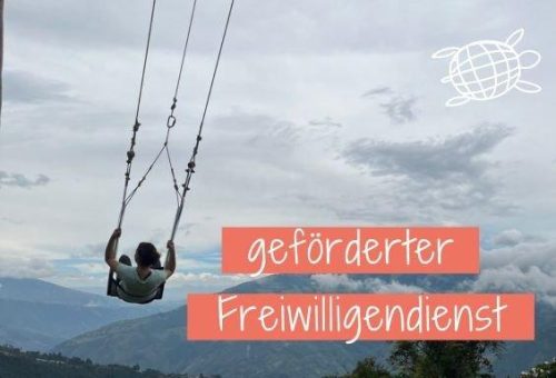 Online-Infoabend: Geförderter FWD (ESK und weltwärts) Afrika/Asien (Webinar | Online)