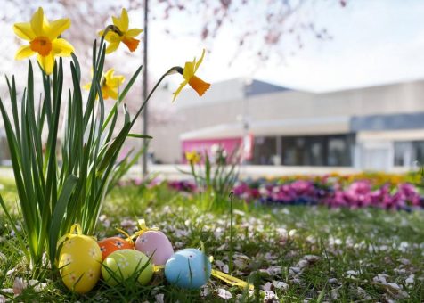An der Sonnenfalle im Kurpark Bad Bevensen (Unterhaltung / Freizeit | Bad Bevensen)