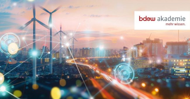 Grundlagen des Energiemarktes und Handels (Seminar | Online)