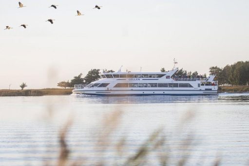 Große und kleine Kranichfahrten 2025 (Unterhaltung / Freizeit | Stralsund)