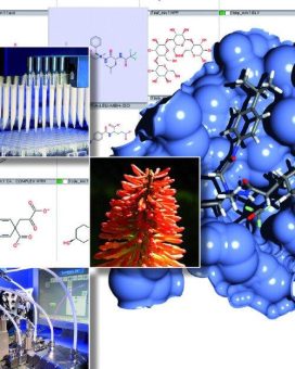 Advances in Chemical Biology (Vortrag | Frankfurt am Main)