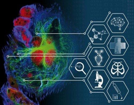 3D Cell Culture 2027: Functional Precision Medicine – Models and Molecules (Workshop | Freiburg im Breisgau)